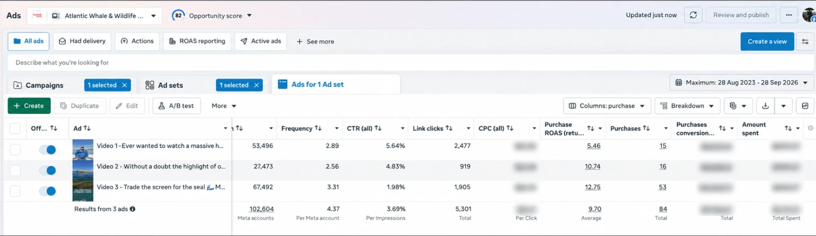 Meta Ads Manager table comparing three video ads, with 102,604 people reached, 5,301 link clicks, 84 purchases and a 9.70 purchase ROAS
