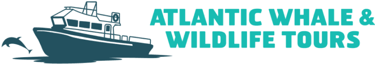 Atlantic Whale & Wildlife Tours